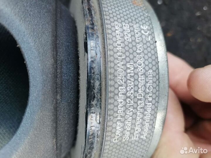 Динамики морел