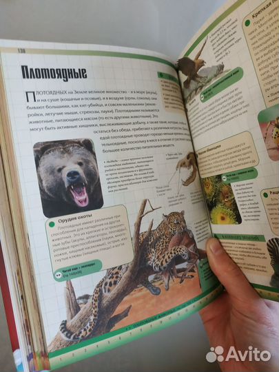 Энциклопедия знаний для школьников