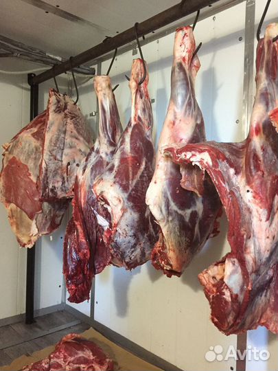 Мясо для собак и кошек. натуральный корм