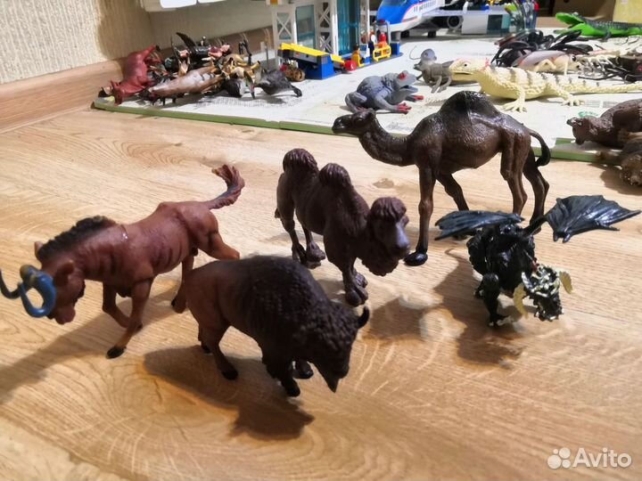 Насекомые, ящерица