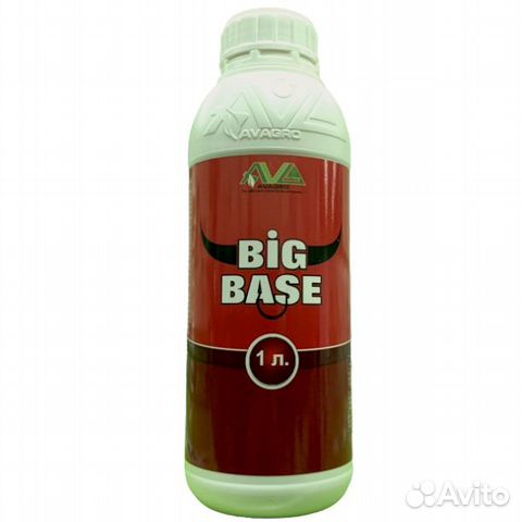 Big base. Sportinia Guarana 500 ml. Sportinia Energy Guarana. Sportinia Energy гуарана. Sportinia Guarana Energy 0.5 л..