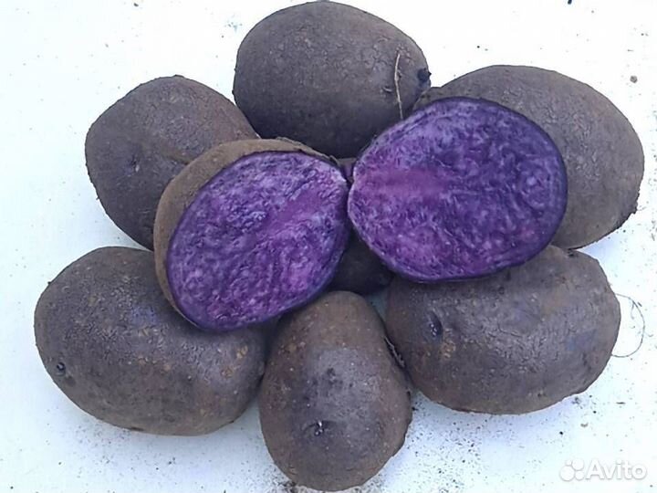 Продам картофель