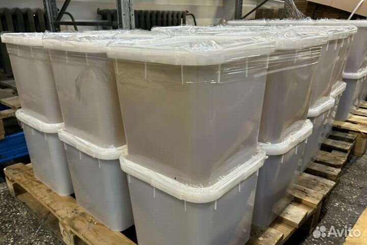 Свежий Гречишный мед