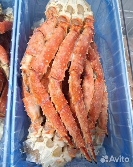 Крабы И креветки