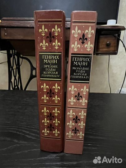 Книга Молодые годы короля Генриха IV