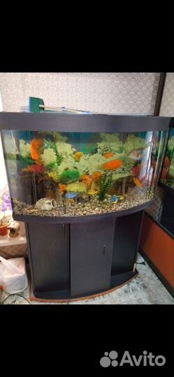 Аквариум с тумбой