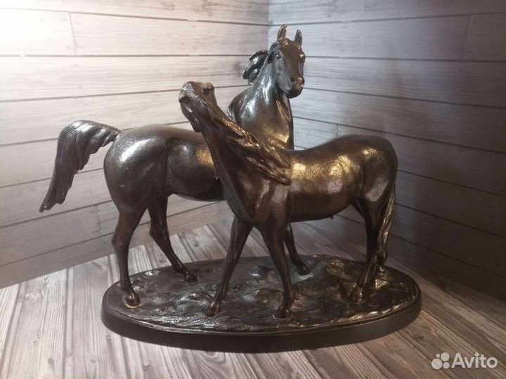 Кони на воле