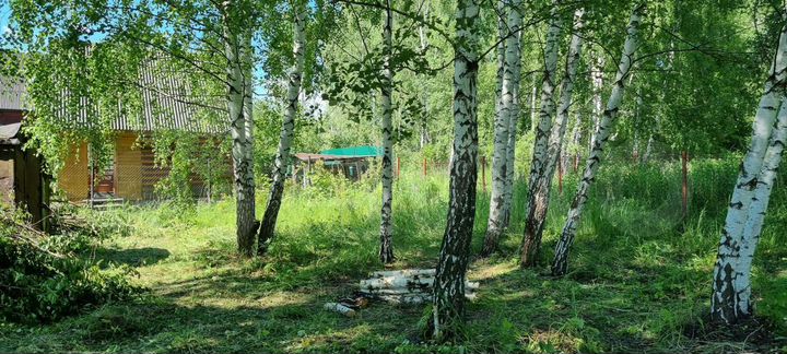 Участок 12 сот. (СНТ, ДНП)