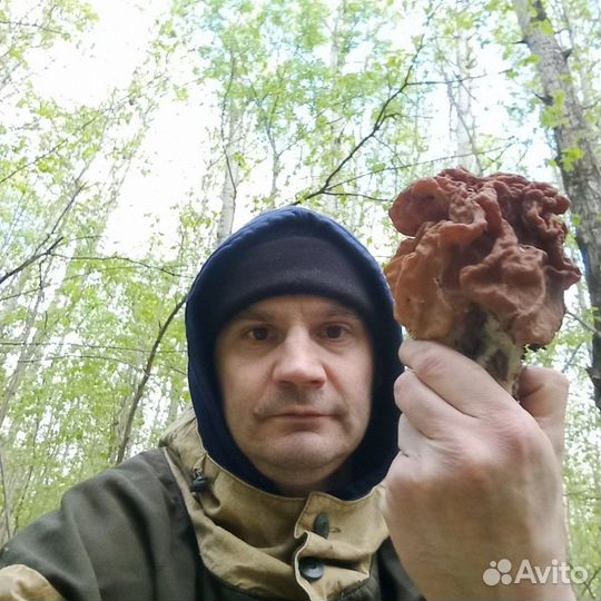 Повар