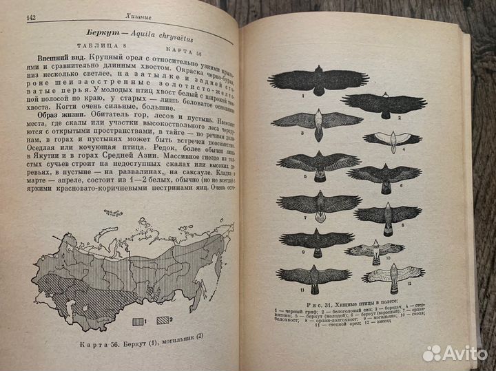 Книга Птицы СССР. В. Флинт, Р. Беме