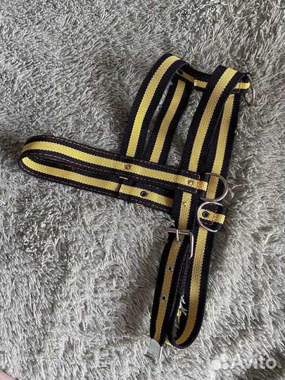 Шлея для собак