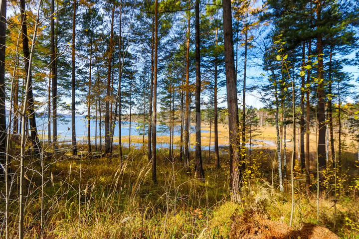 Участок 13,3 сот. (СНТ, ДНП)