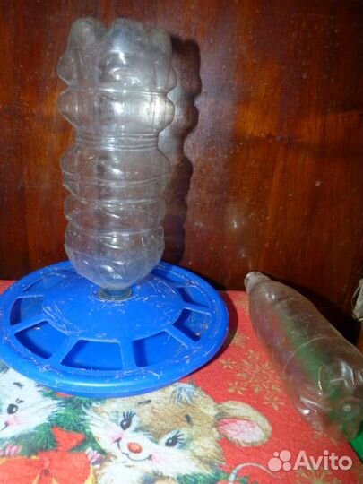 Товары для животных. Птиц