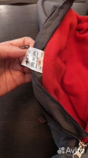 Комбинезон для собаки девочки джек рассел