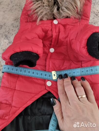 Одежда для собак xs