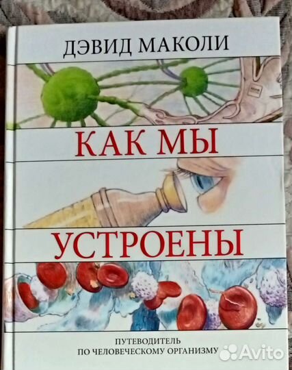 Как мы устроены. Маколи