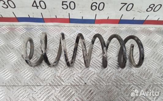 Пружина задняя renault scenic 3 (SBR15LY02)