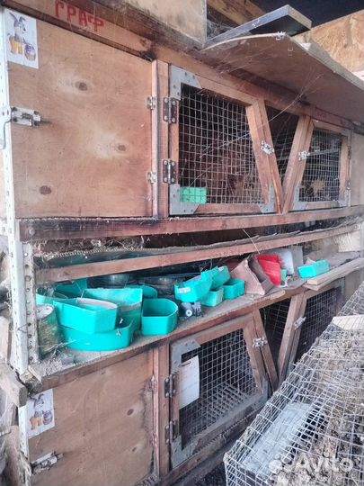 Клетка для грызунов большая