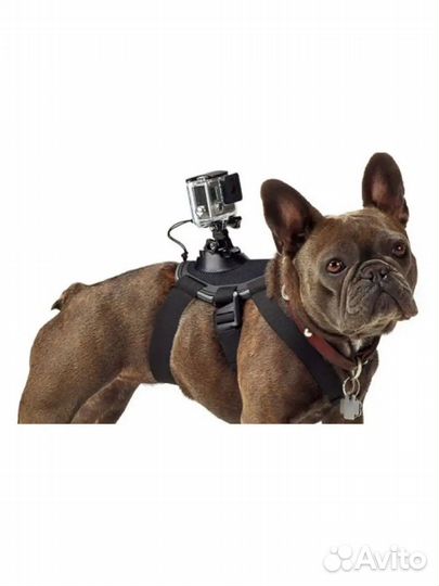 Крепление экшн камеры для собаки