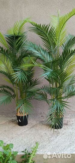 Пальмы, папоротники для интерьера, искусственные