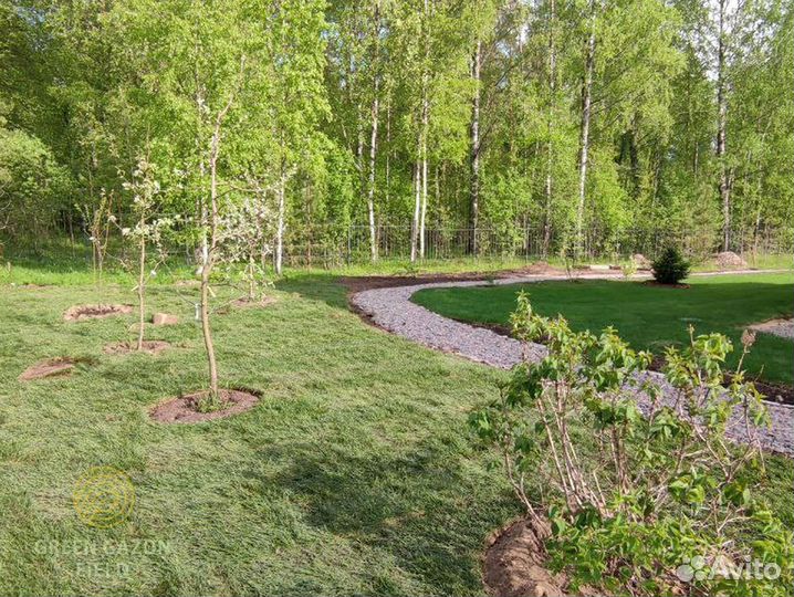 Газон премиальный высокое качество