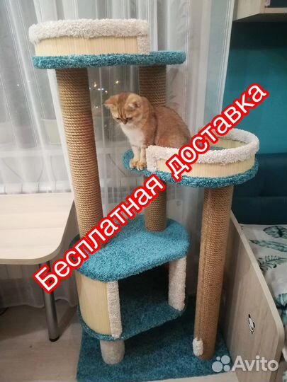 Когтеточка домик для кошки