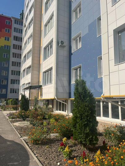 1-к. квартира, 61,9 м², 4/9 эт.