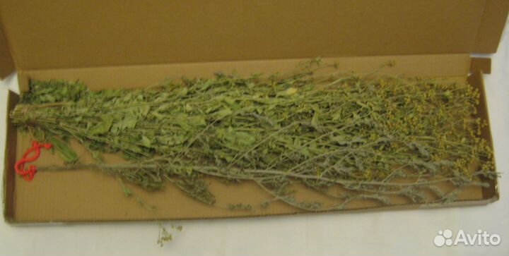 Декор букет Полынь горькая обыкновенная