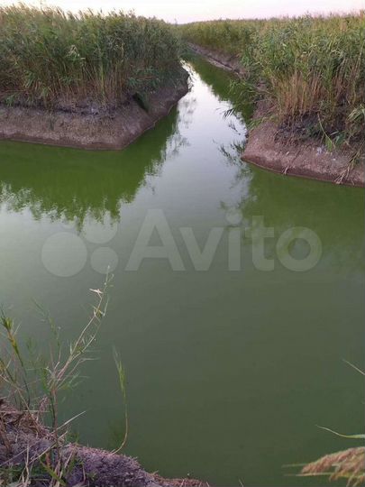 Участок 2 га (ИЖС)