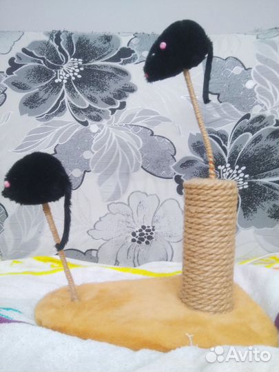 Когтеточка