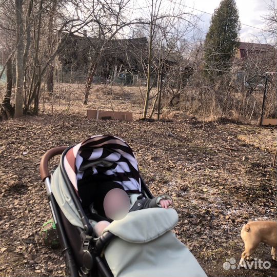 Коляска happy baby mommer