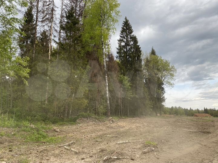 Участок 11 сот. (ИЖС)