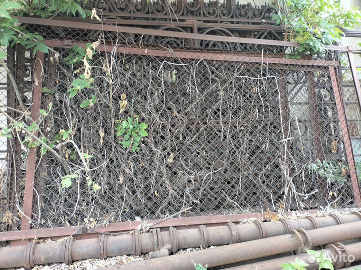 Забор сетка рабица