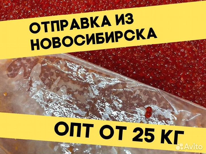 Красная икра нерки, улов июнь 2023