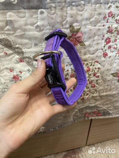 Ошейники и поводки для собак