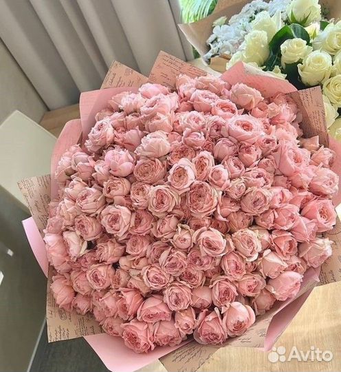 101 роза цветы букеты доставка 25 51 101 роза