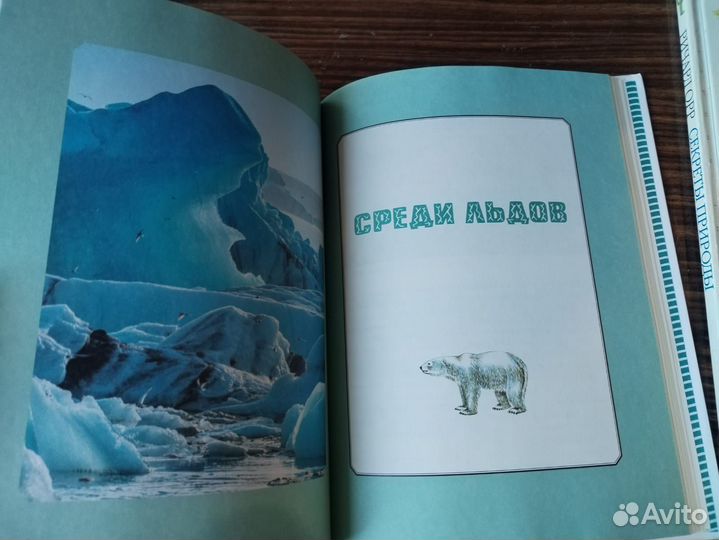 В мире дельфина и осьминога, Святослав Сахарнов