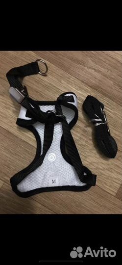 Лук для собачки