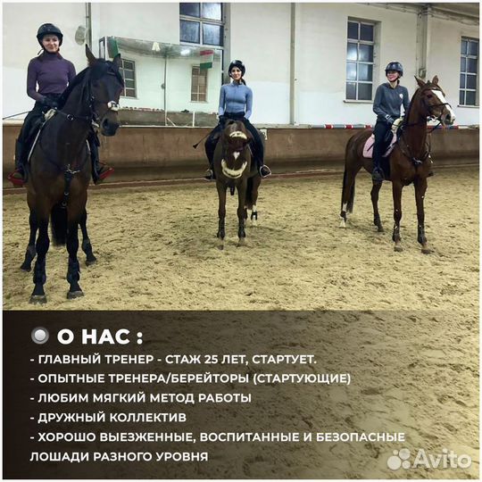 Тренер по конному спорту