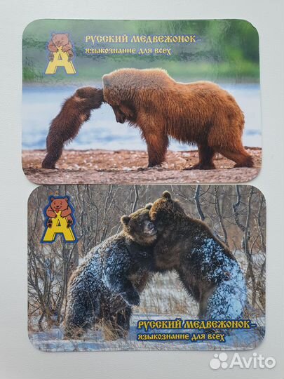 Золотое руно школьные конкурсы олимпиады