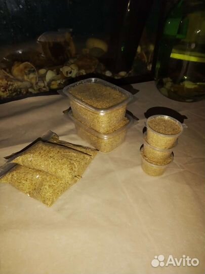 Улитки ахатины,рыбки, гаммарус, корм