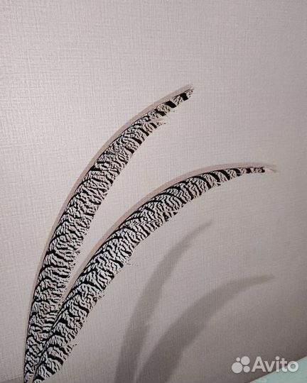 Перо алмазного фазана