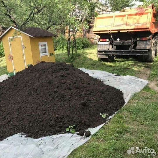 Земля, чернозем