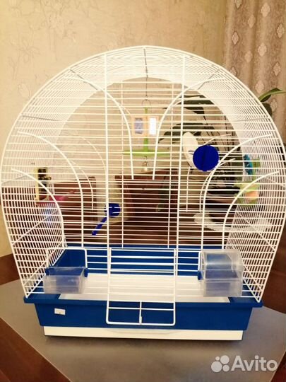 Клетка для попугая