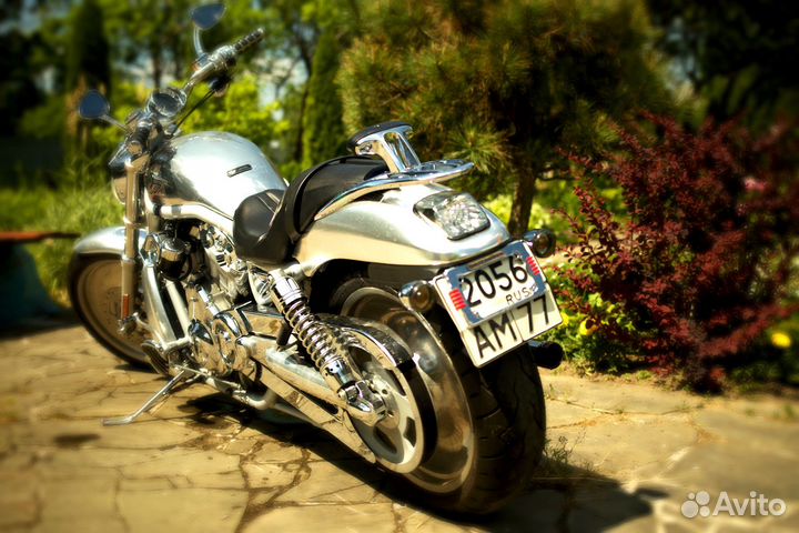 Harley-davidson V-ROD