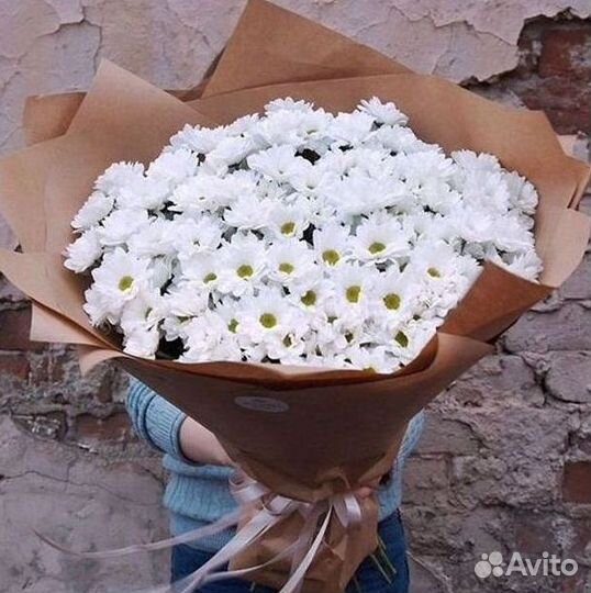 Хризантема