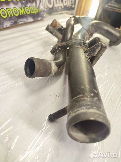 Трубка охлаждения Nissan Primera P10