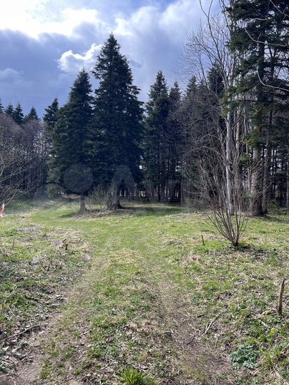 Участок 40 сот. (СНТ, ДНП)