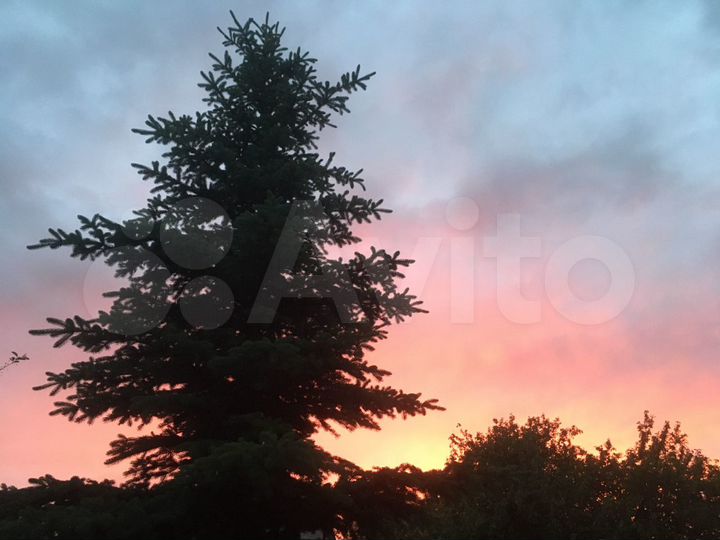 Дача 60 м² на участке 12 сот.