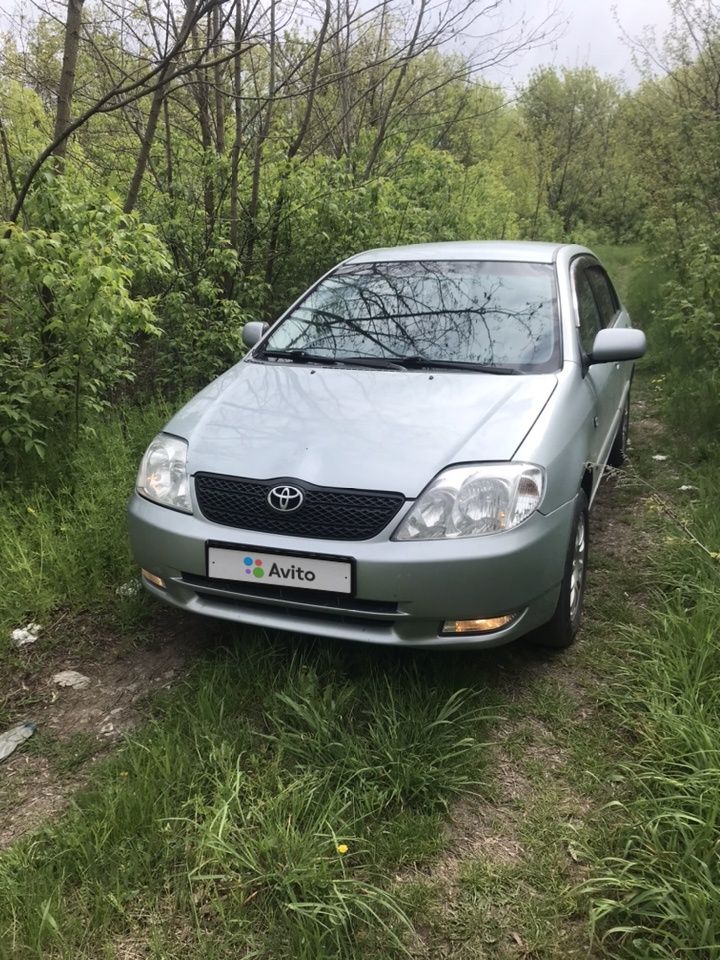 Toyota Corolla: фото владельца